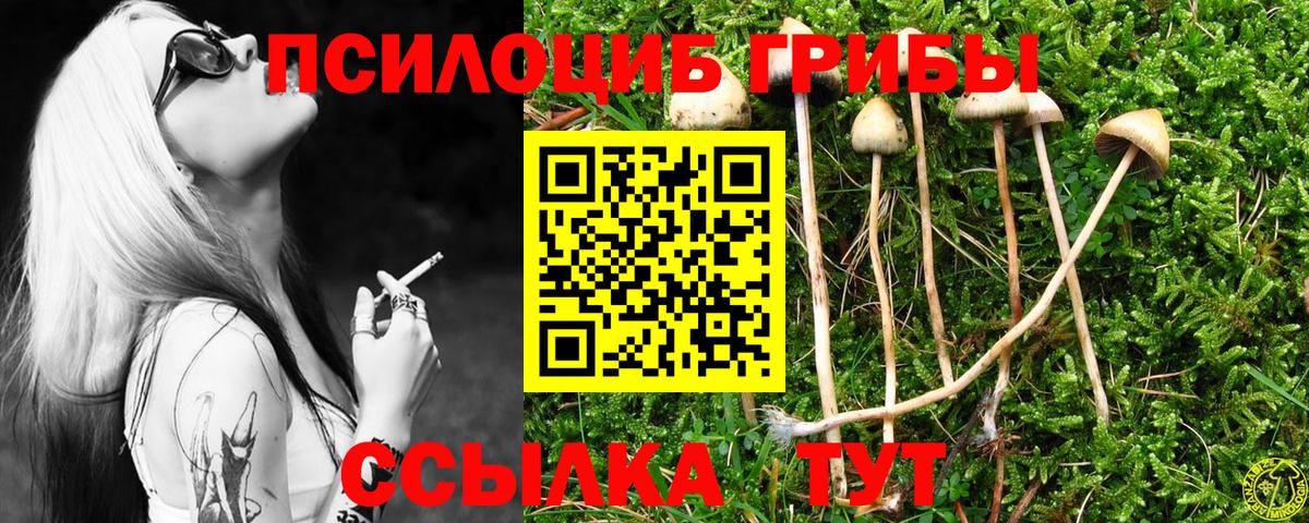 Галлюциногенные грибы мухоморы Сарапул