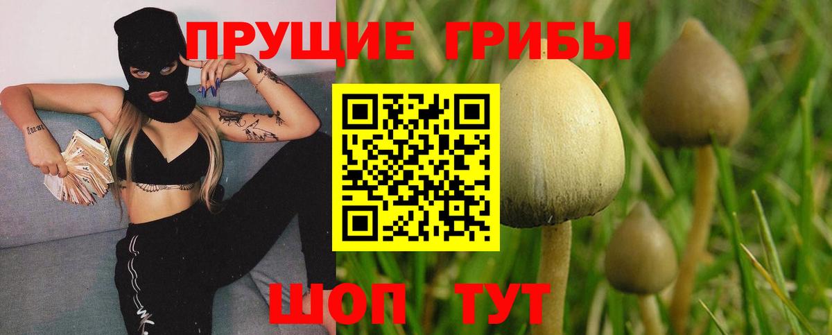 Галлюциногенные грибы Psilocybine cubensis  Вход с VPN  Сарапул  Галлюциногенные грибы Psilocybe 